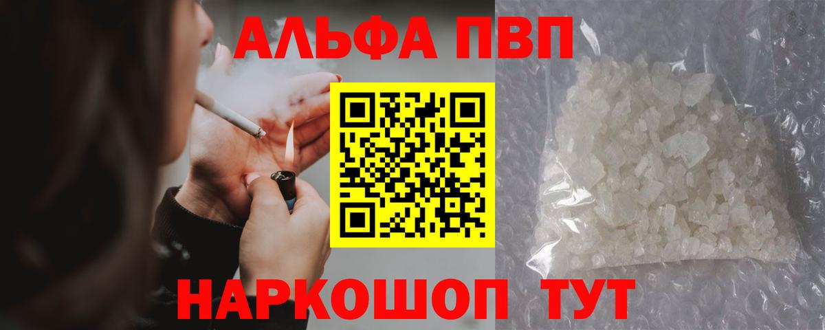 Альфа ПВП СК Новошахтинск