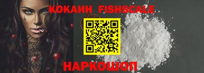 крисы Славгород