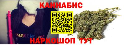 крисы Славгород