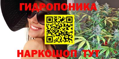 крисы Славгород