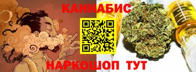 крисы Славгород