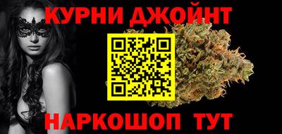 крисы Славгород