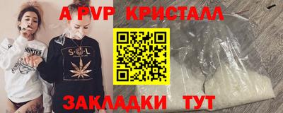 крисы Славгород