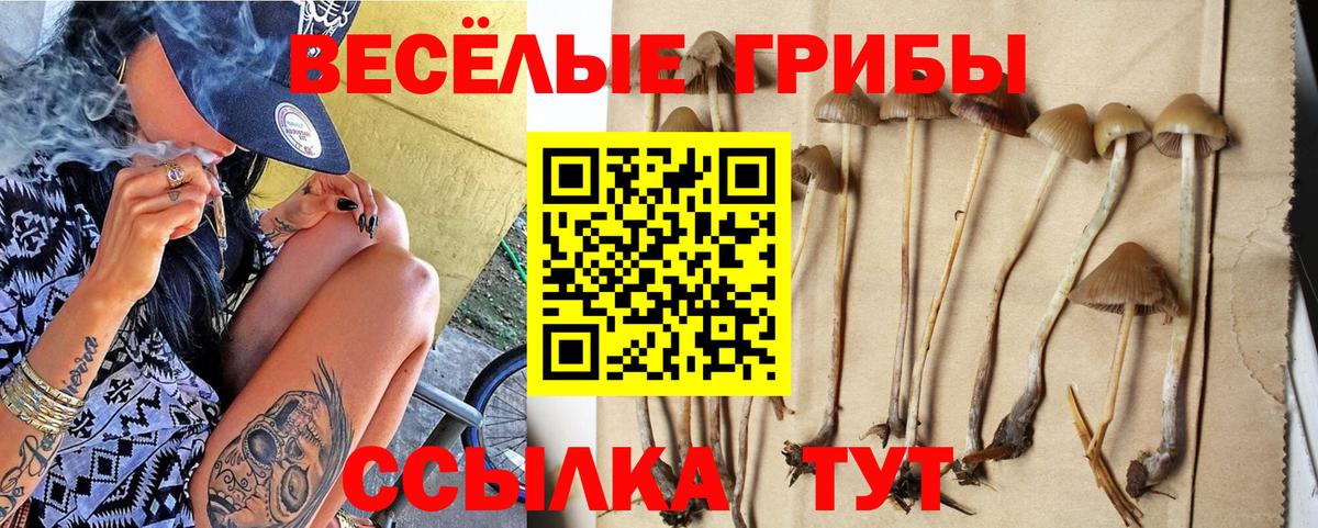 Псилоцибиновые грибы Magic Shrooms  Псилоцибиновые грибы MAGIC MUSHROOMS  Новошахтинск  Вход с VPN 