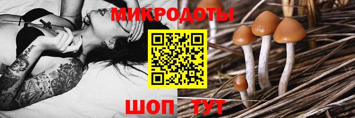 Псилоцибиновые грибы Magic Shrooms Новошахтинск